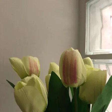 Nocleg ze śniadaniem Decumani Prestige 4*