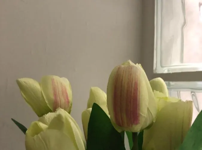 לינה וארוחת בוקר Decumani Prestige 4*